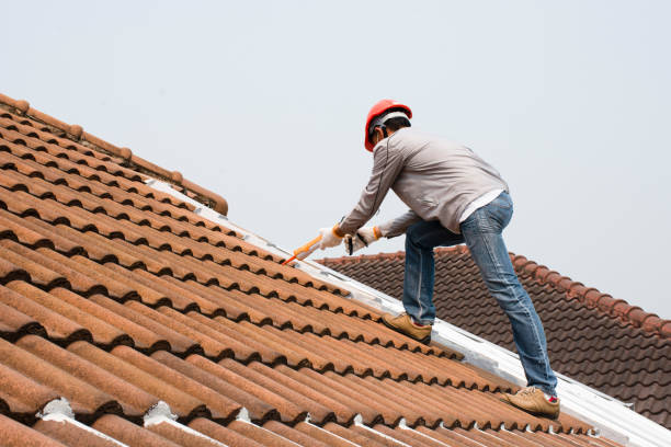 Best Metal Roofing Installation  in Pis, AR